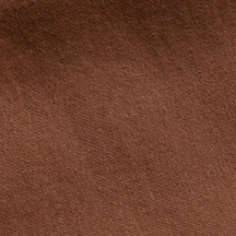 Vicuna